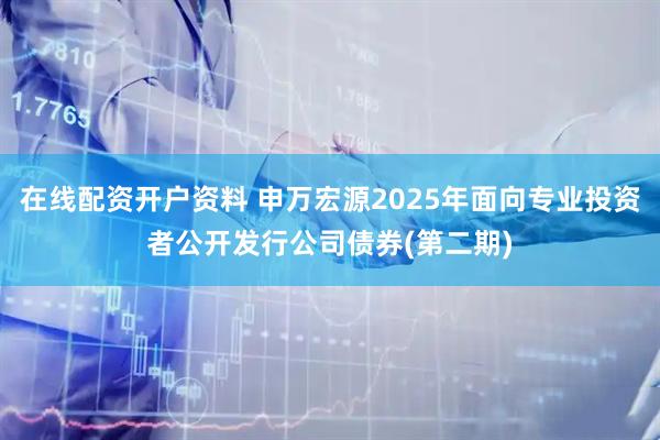 在线配资开户资料 申万宏源2025年面向专业投资者公开发行公司债券(第二期)